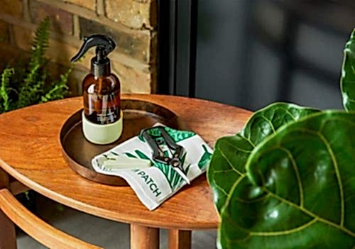 Plant care